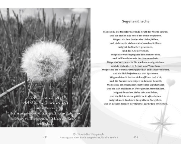 Charlotte Deppisch Buch3 Wegweiser Himmel-auf-Erden-Leseprobe
