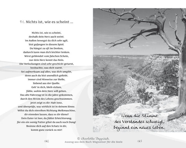CharlotteDeppisch-Buch1-Wegweiser-fuer-die-Seele-Leseprobe