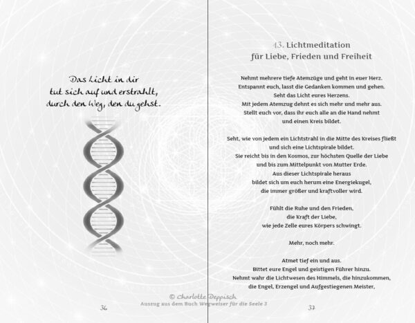 Charlotte Deppisch Buch4 Licht der Vollkommenheit, Leseprobe