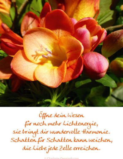 Charlotte Deppisch, Weisheiten und Naturfotos: Erkennt und lebt eure Macht der Liebe. Vertraut auf eure Anbindung an Gott. Mit Wahrhaftigkeit und Herzenswärme könnt ihr Wunder kreieren. In Verbindung miteinander das Feld der Liebe alles überstrahlt.
