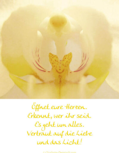 Charlotte Deppisch, Weisheiten und Naturfotos: Öffnet eure Herzen. Erkennt, wer ihr seid. Es geht um alles. Vertraut auf die Liebe und das Licht!