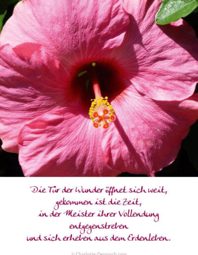 Charlotte Deppisch, Weisheiten und Naturfotos: Die Tür der Wunder öffnet sich weit, gekommen ist die Zeit, in der Meister ihrer Vollendung entgegenstreben und sich erheben aus dem Erdenleben.