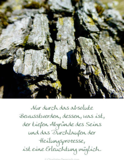 Charlotte Deppisch, Weisheiten und Naturfotos: Nur durch das absolute Bewusstwerden, dessen, was ist, der tiefen Abgründe des Seins und das Durchlaufen der Heilungsprozesse, ist eine Erleuchtung möglich.