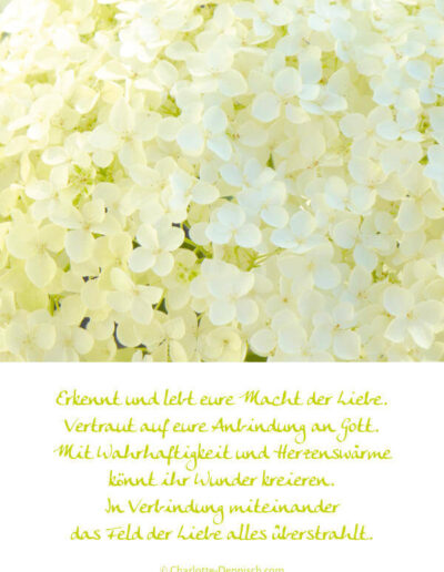 Charlotte Deppisch, Weisheiten und Naturfotos: Erkennt und lebt eure Macht der Liebe. Vertraut auf eure Anbindung an Gott. Mit Wahrhaftigkeit und Herzenswärme könnt ihr Wunder kreieren. In Verbindung miteinander das Feld der Liebe alles überstrahlt.