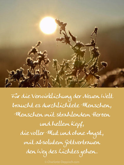 CharlotteDeppisch-die Verwirklichung der Neuen Welt