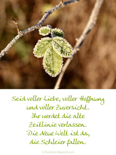 Foto-Weisheitsperle