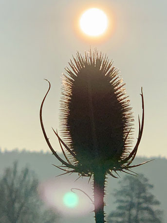 Großes Gewicht