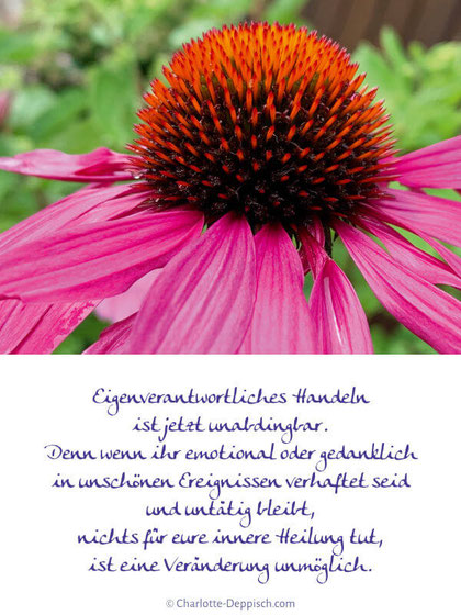 Foto-Weisheiten: Pink-rote Blüte, Eigenverantwortliches Handeln
