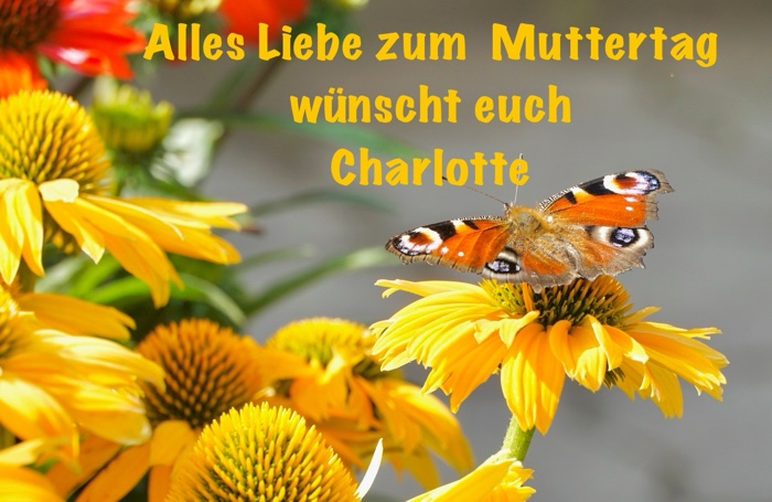 Charlotte Deppisch, Seelengedicht, Tag der Mütter