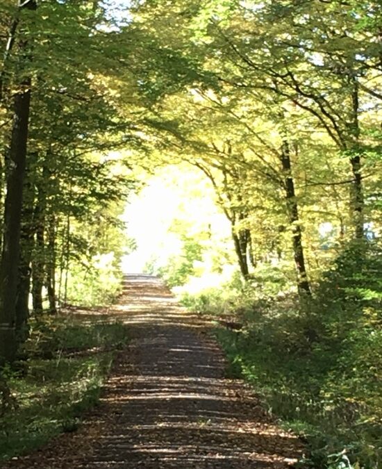 Weisheitsperle: Der Weg