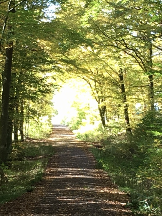 Charlotte Deppisch, Weisheitsperlen, Der Weg