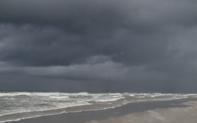 Weisheitsperle: Schuld