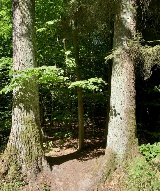 Charlotte Deppisch, Weisheitsperle: Lebenswerk