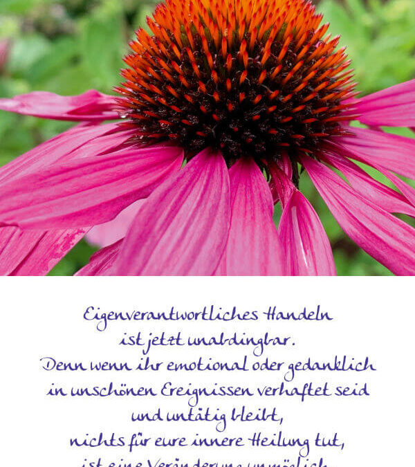 Foto-Weisheitsperle