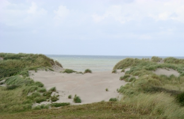 Weisheitsperle