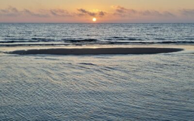 Urängste – Vergebung – Liebe