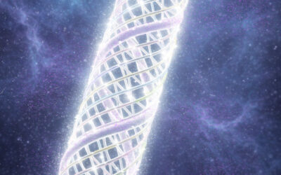 Manipulation erkennen – Ursprungs-DNA aktivieren