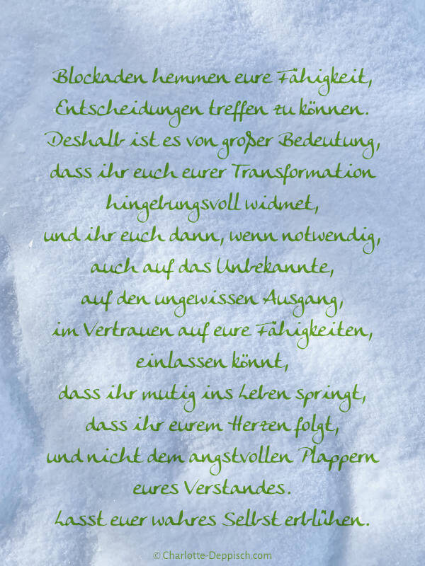 Fotoweisheitsperle 2026.01.19